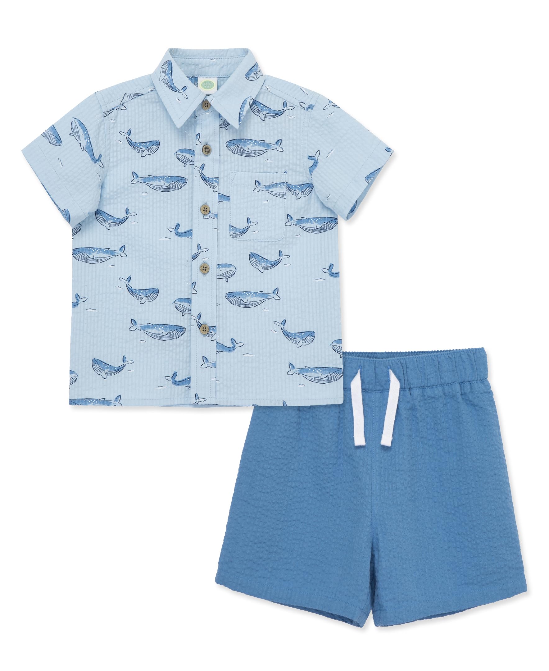 Baby Boy Shirt & Shorts Set